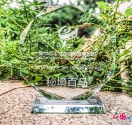 现场不雅众的心也跟着金飞豹飞驰的脚步跃入了